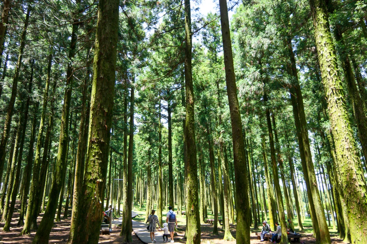 절물자연휴양림 - 한라산 여행