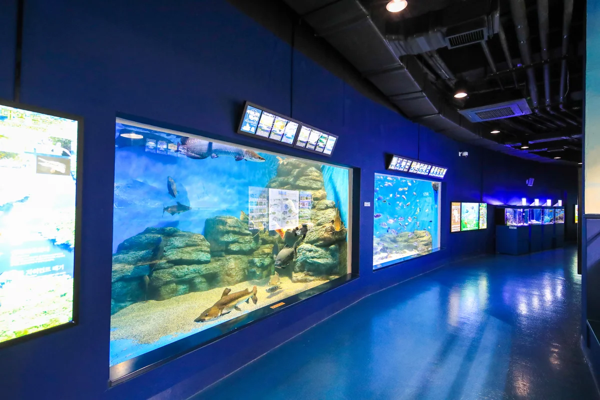 장림포구 - 장림 여행