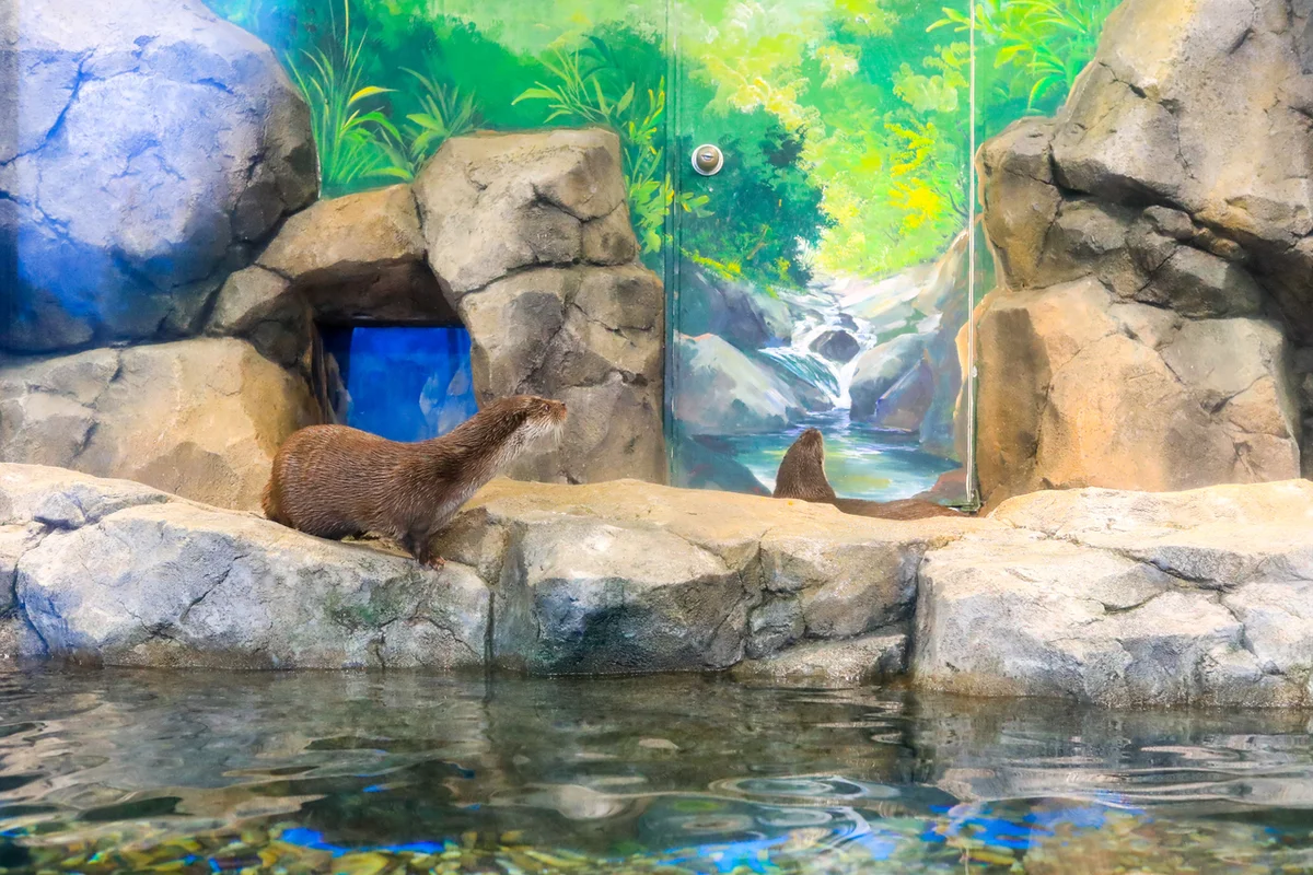 보림공원 - 장림 여행