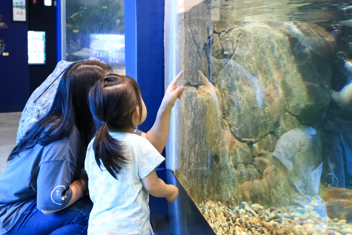 장림 아쿠아리움 대안, 씨라이프 부산아쿠아리움 - 장림 여행