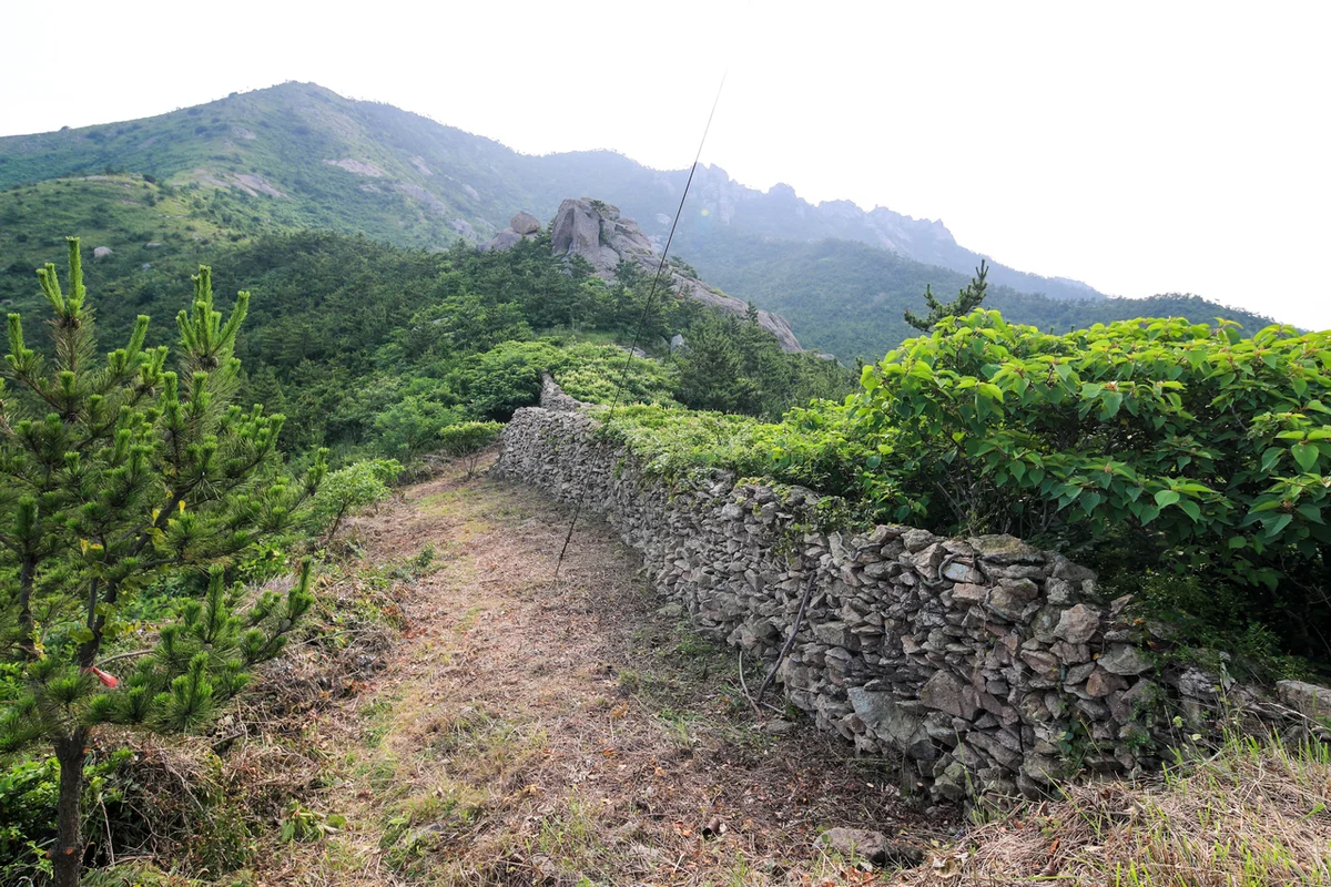 안좌퍼플교 - 신안군 여행