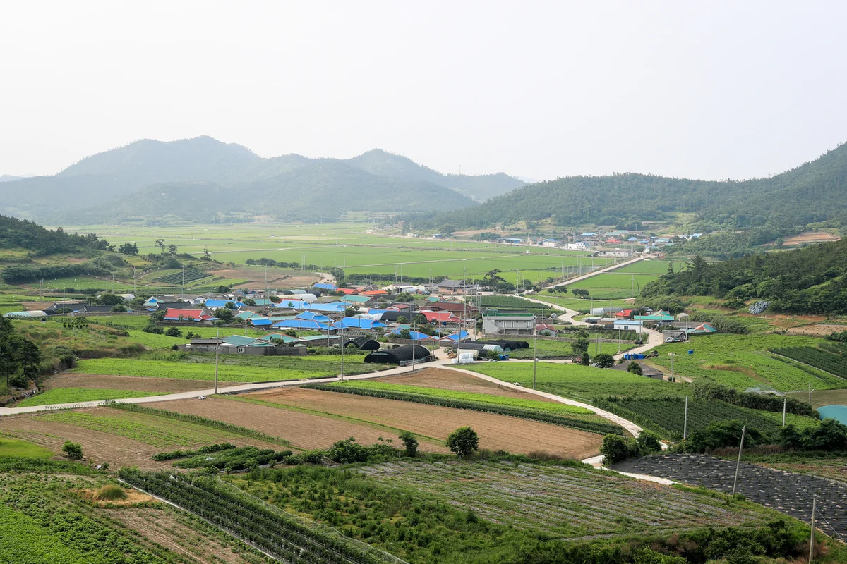 1004섬 분재정원 - 신안군 여행