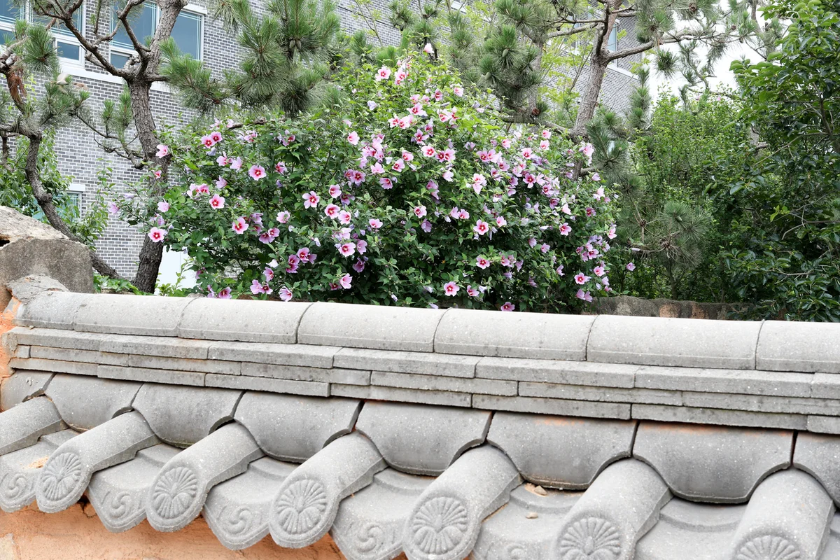 월출산국립공원 구름다리 코스 - 영암여행 여행