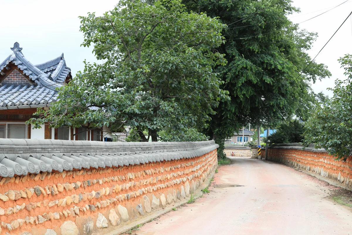 영암꽃피당 농업회사법인 - 영암여행 여행