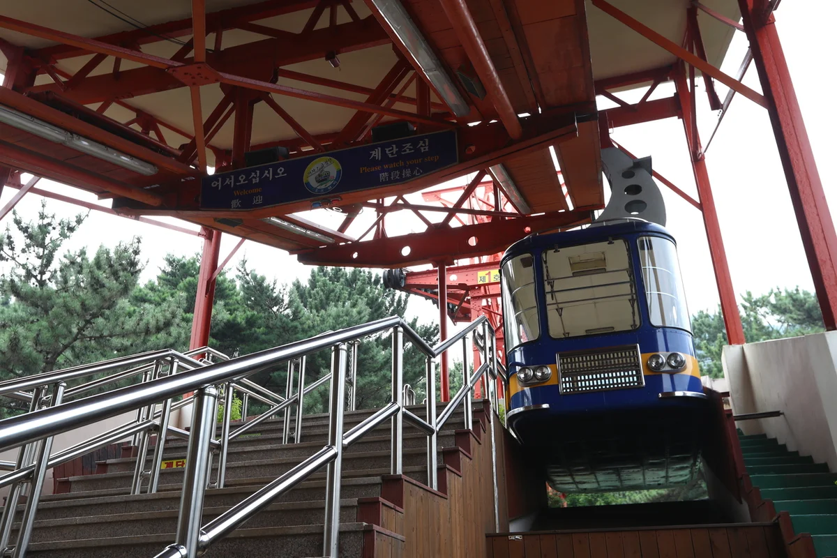 초막골생태공원 느티나무야영장 - 금정캠핑 여행