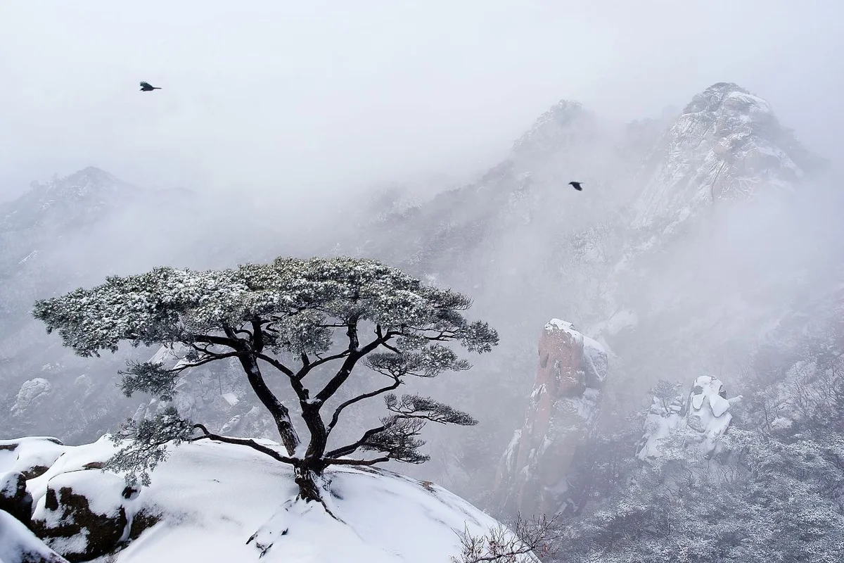 서울창포원 - 도봉가족나들이 여행