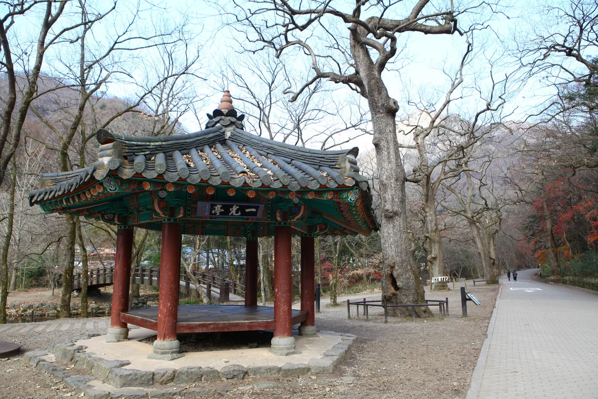 옛서당캠핑농원 - 장성군캠핑 여행