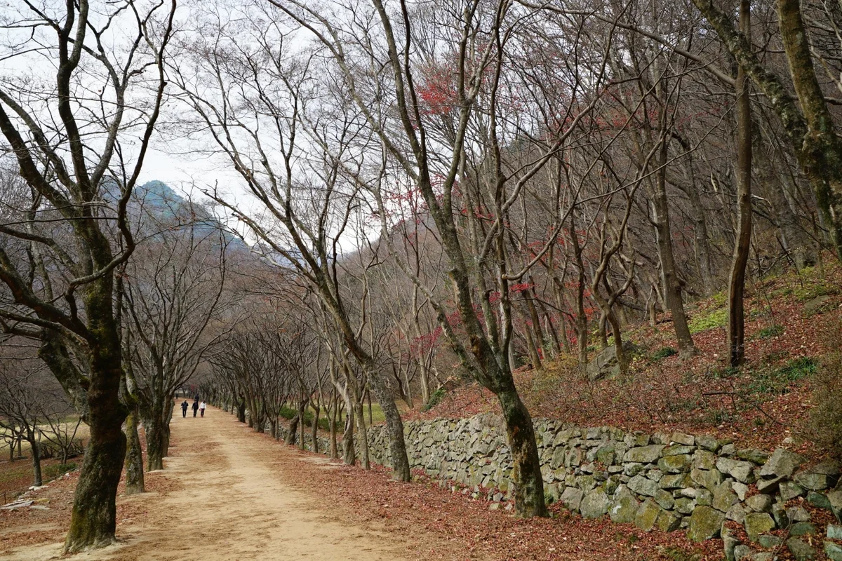 내장산 유아 동반: 정읍 내장산문화광장 기적의 놀이터 - 내장산 여행