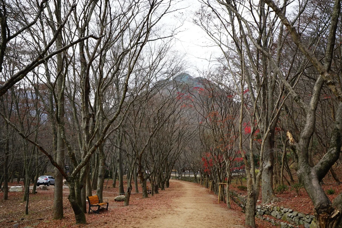 내장산자연휴양림 - 내장산 여행
