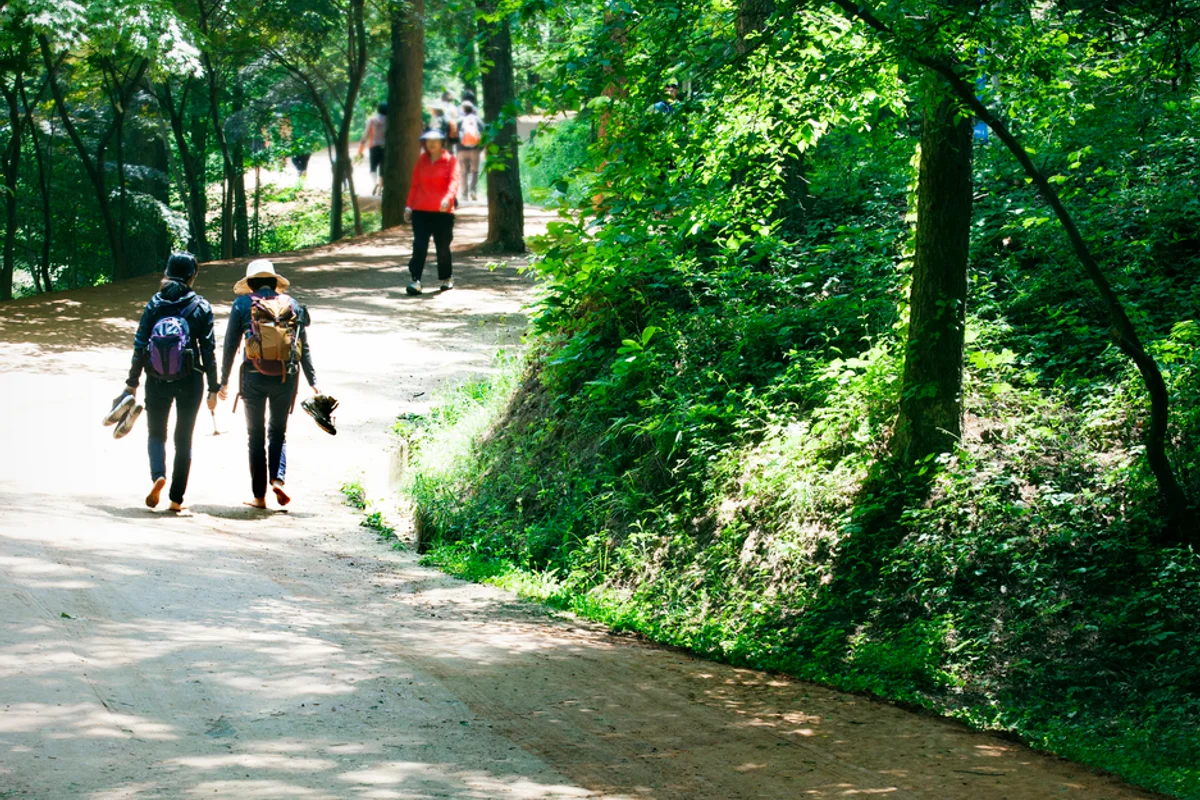 동춘당공원 - 대덕구여행 여행
