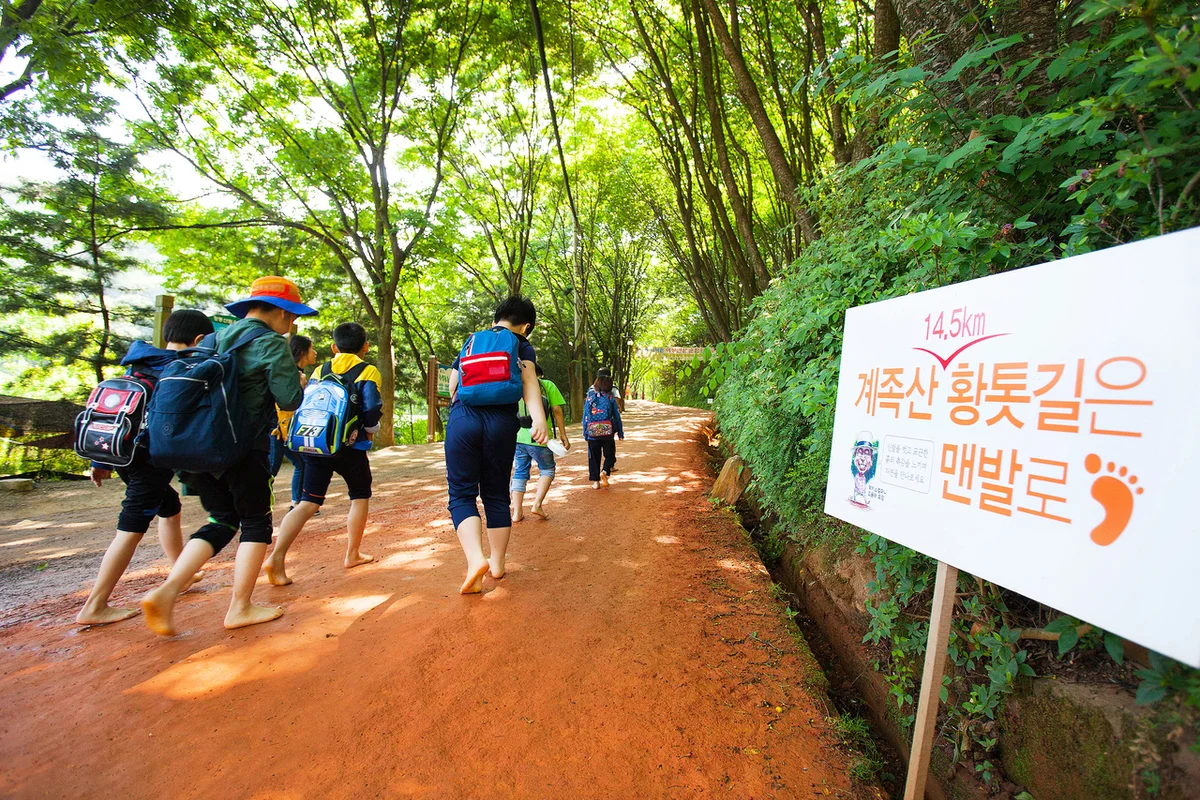 장동산림욕장 - 계족산 여행
