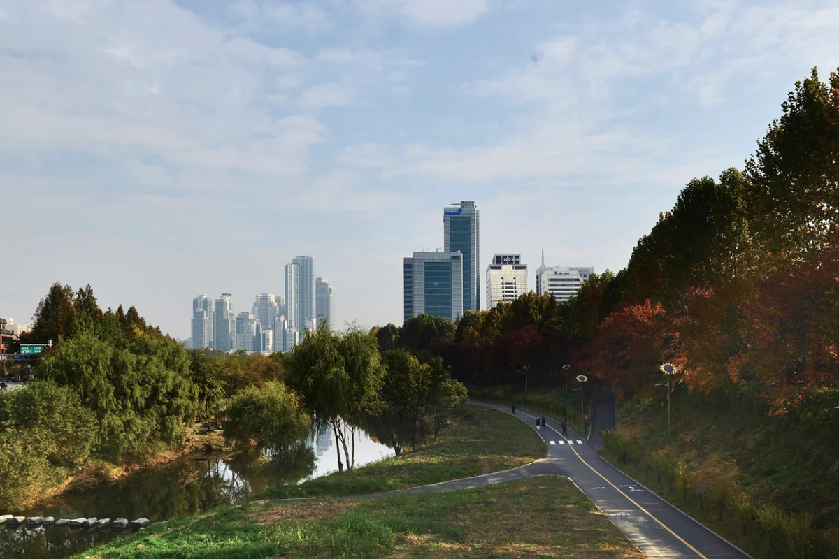 양재천 - 강남여행 여행