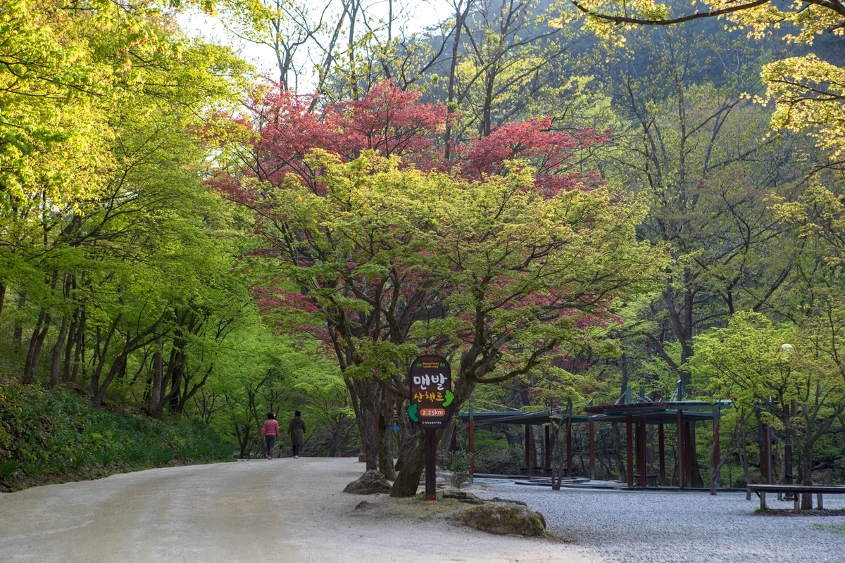 채계산 - 순창 여행