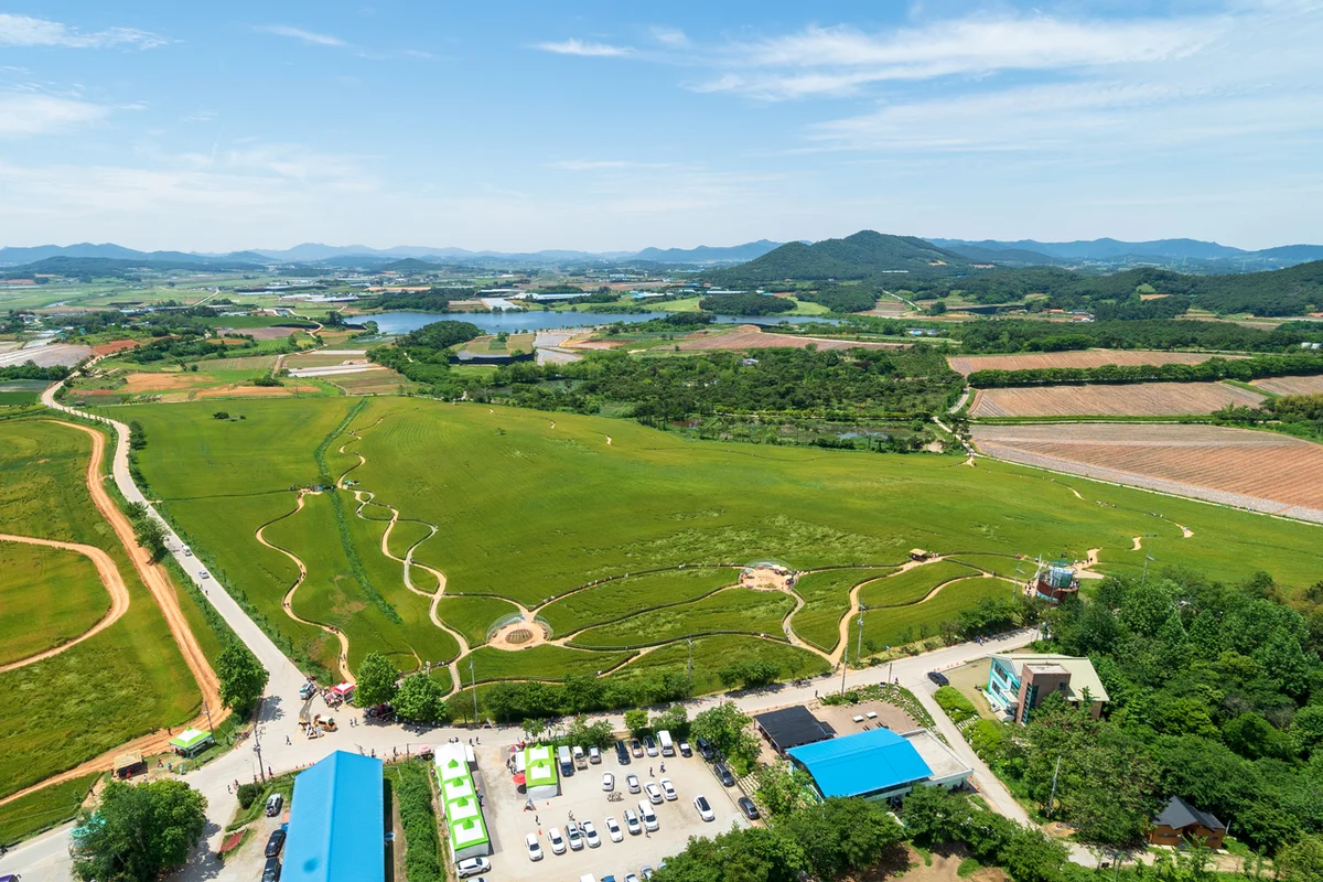 고창 청보리밭 축제 - 전북여행 여행