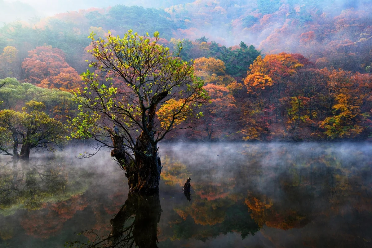 주산지 - 청송여행 여행