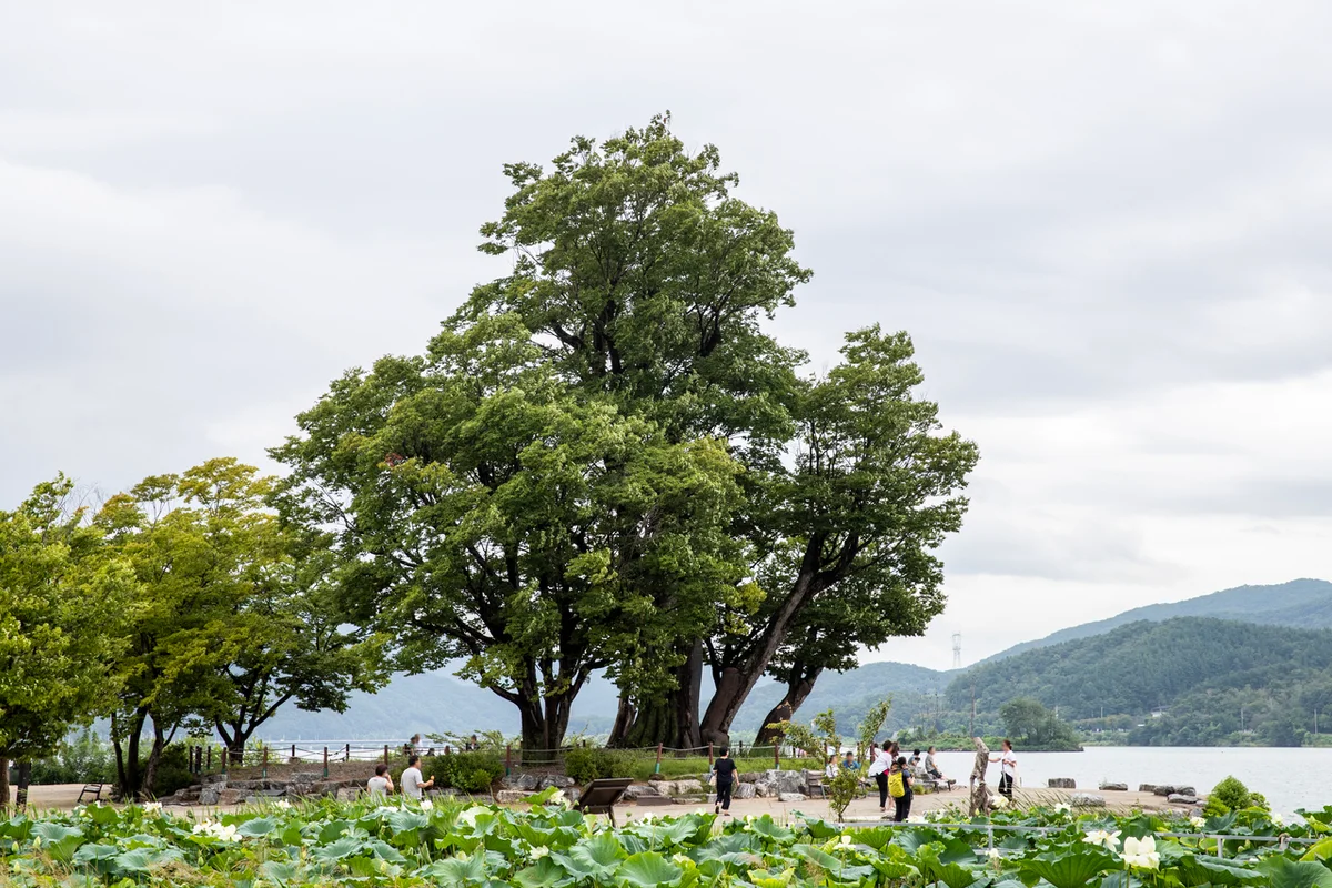 용문산 관광지 일원 - 양평여행 여행
