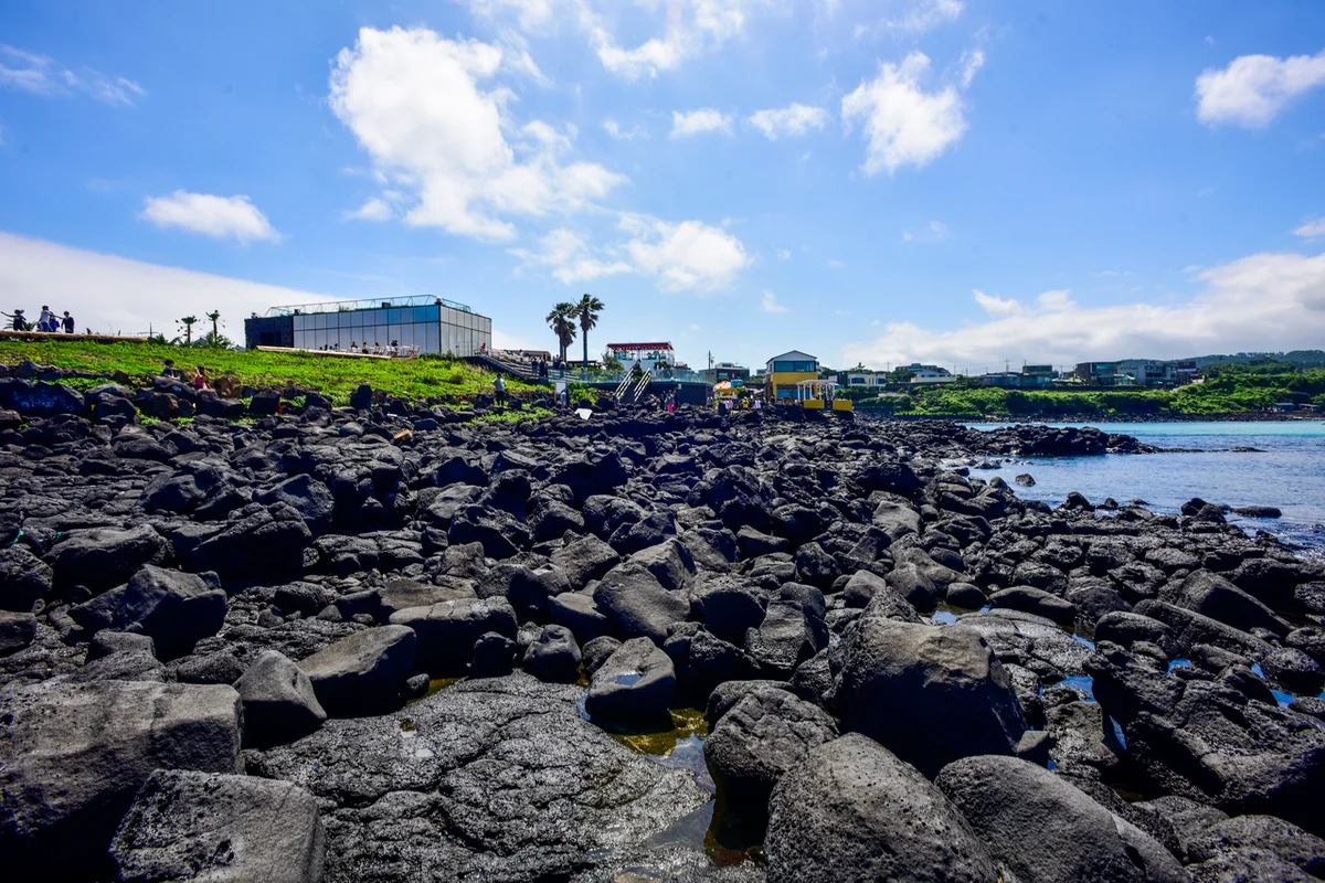 81파크 제주 - 애월 여행