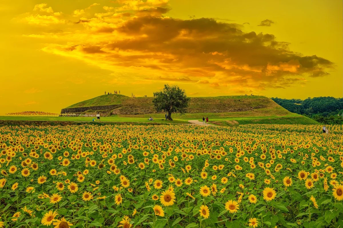 연천 산책로 (출처 : 한국관광공사)