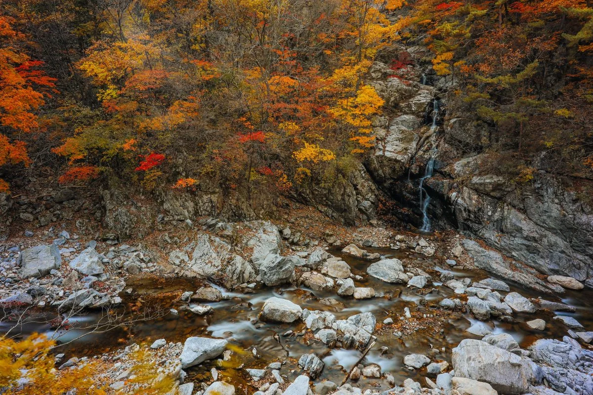 미천골자연휴양림 - 양양 여행
