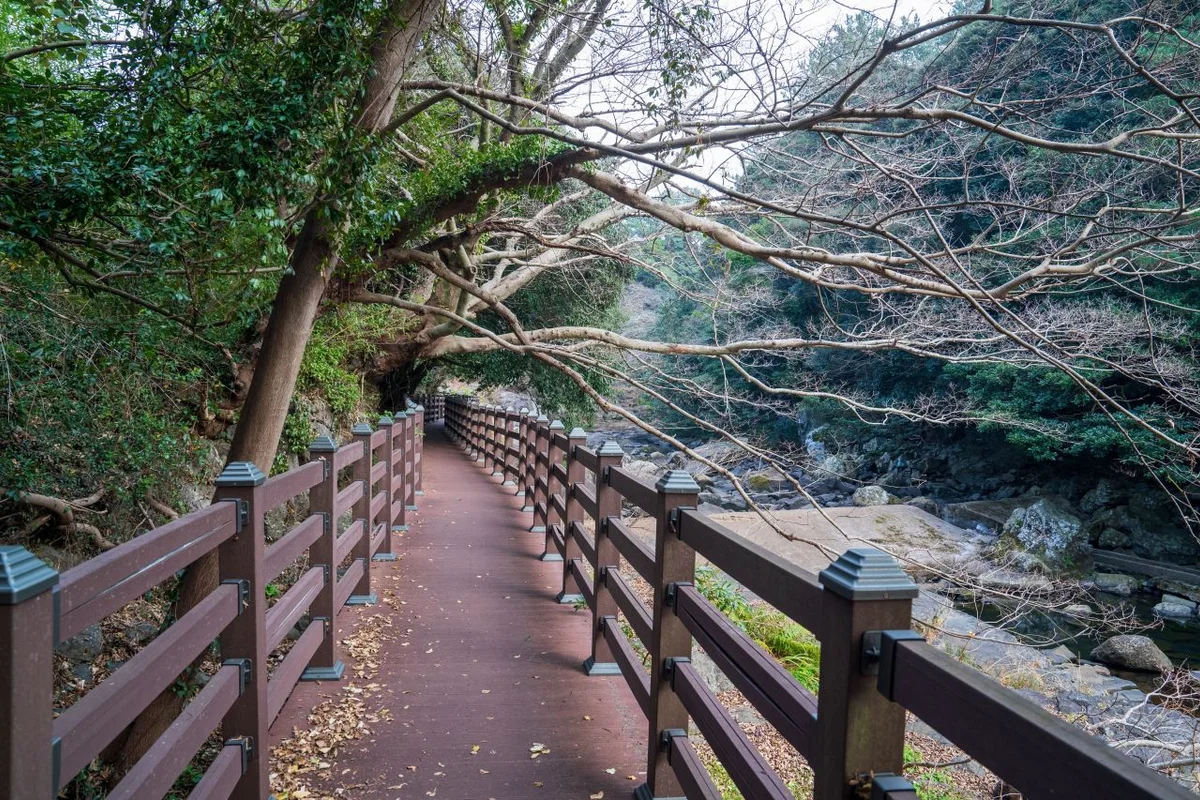 안덕 동굴 - 완주여행 여행