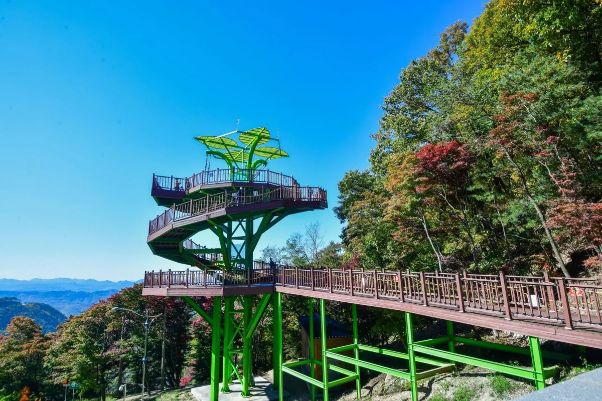 속리산 숲체험휴양마을 - 보은속리산진달래 여행