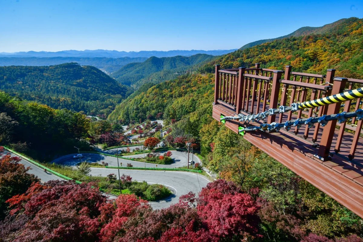 북암농촌체험관 - 보은속리산진달래 여행