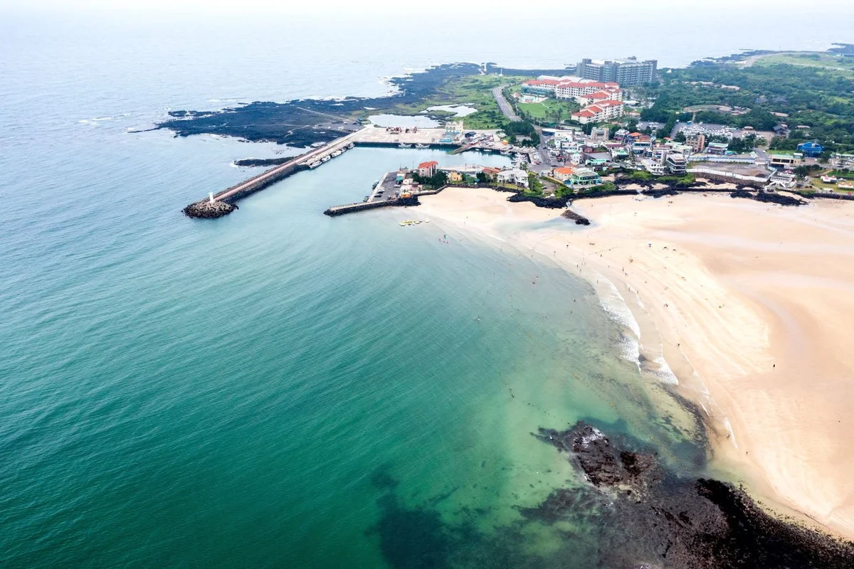 낙타트래킹 - 제주표선 여행