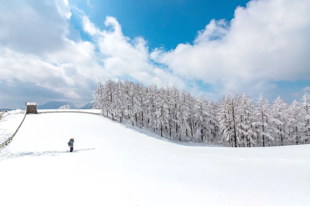 대관령양떼목장 - 평창 여행