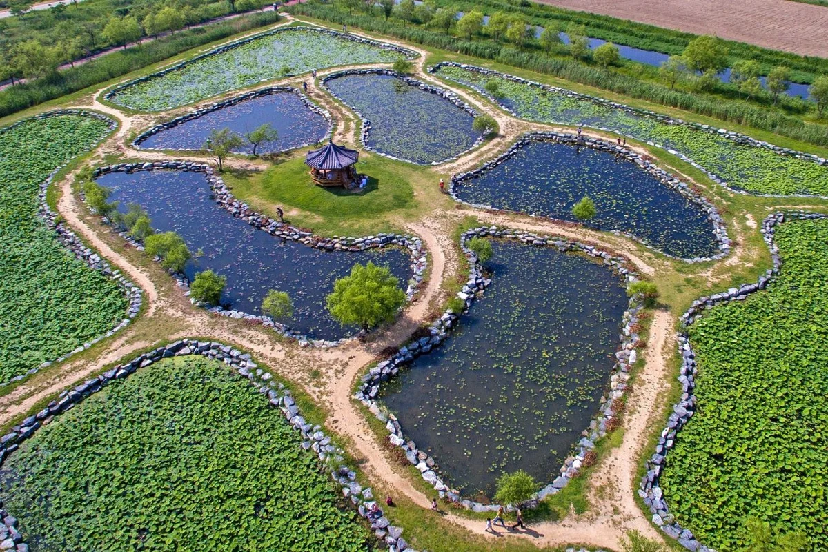 삼락생태공원 - 사상구미술관 여행