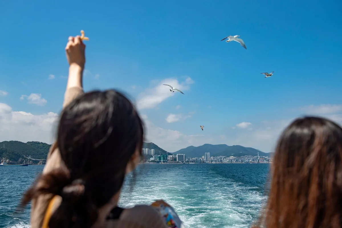 자갈치크루즈 - 부산여행 여행