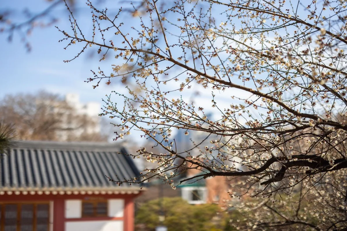 수영사적공원 - 수영구야경 여행