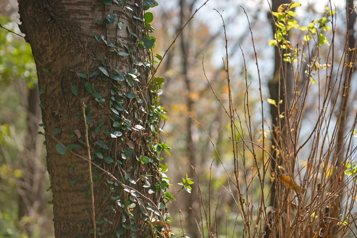 아트빌리지공예센터 - 연제구 여행 여행