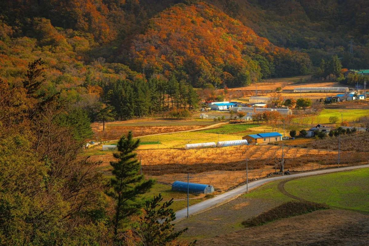 나리분지 - 울릉도 여행