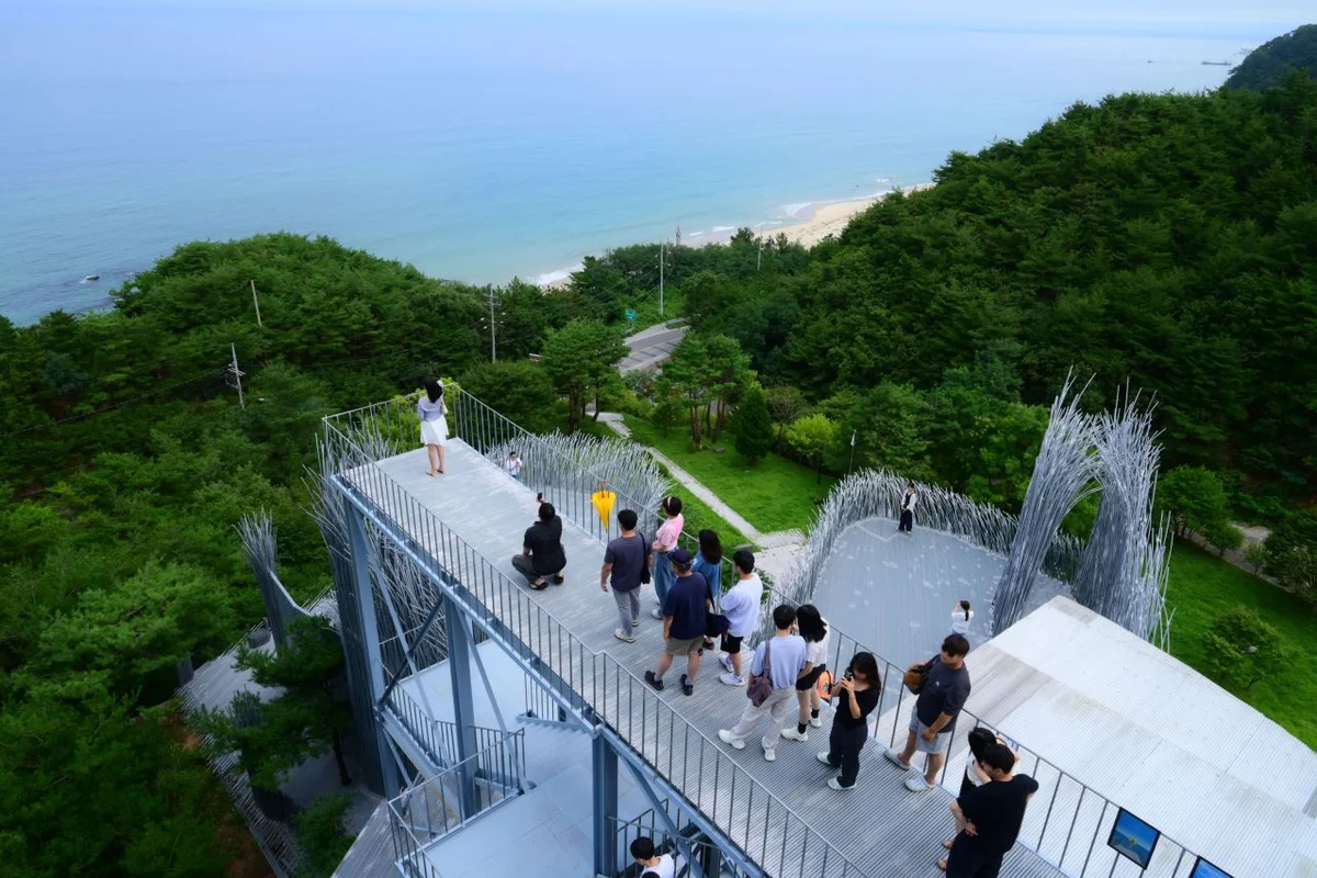 하슬라아트월드 - 강릉시드라이브 여행