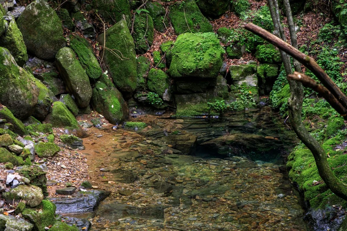 태백 데이트 (출처 : 한국관광공사)