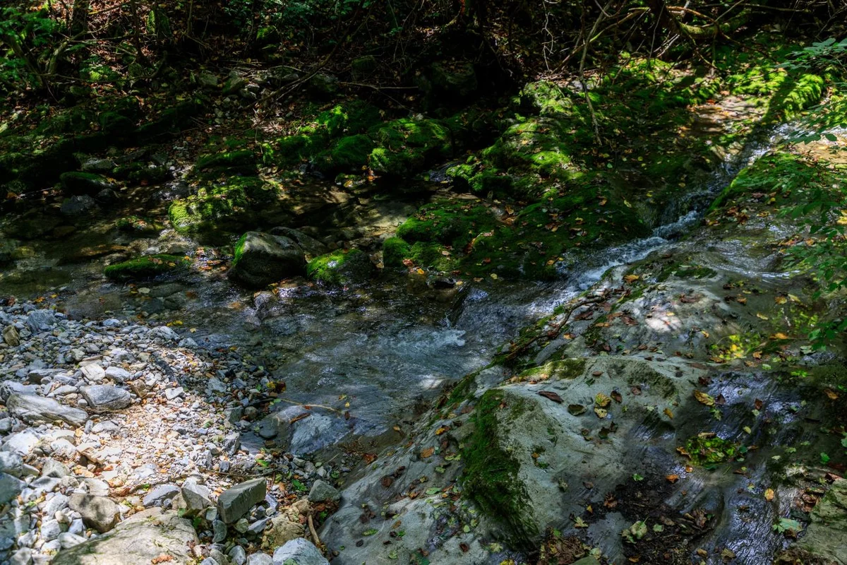 몽토랑산양목장&뷰카페 - 태백 여행