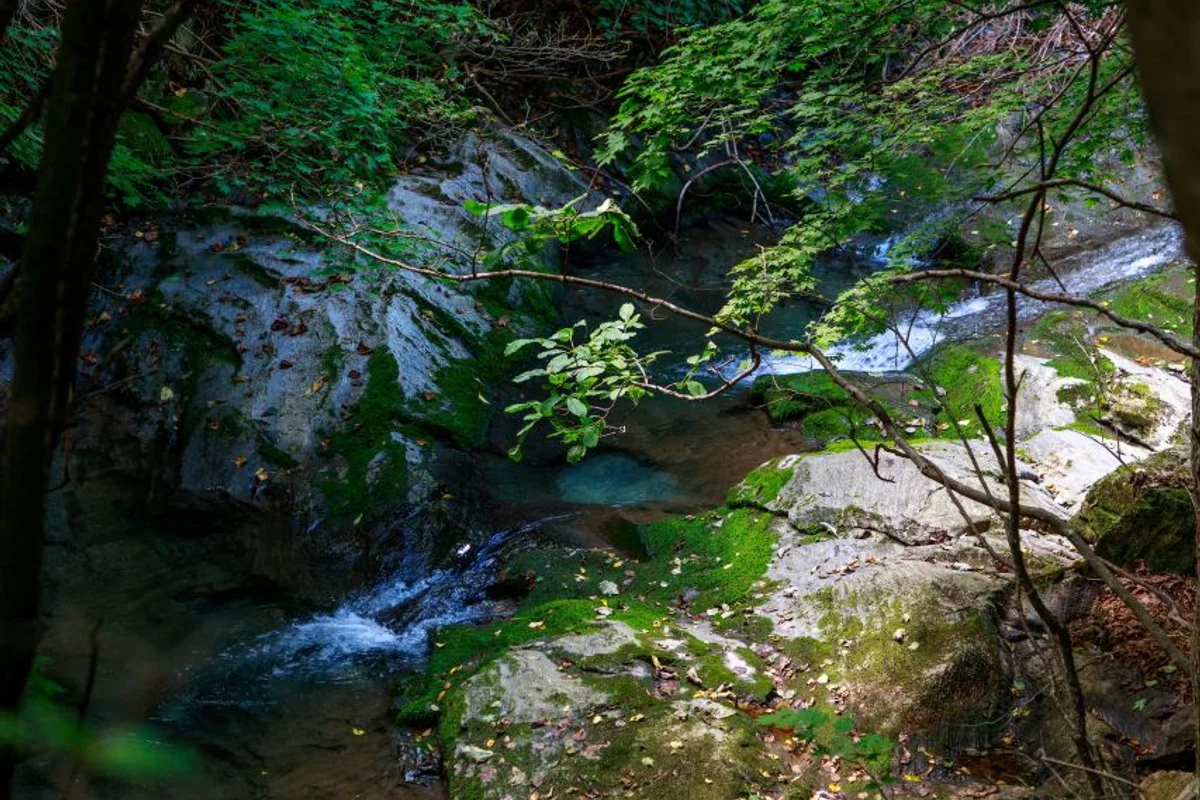 태백 데이트의 시작, 황지연못 - 태백 여행