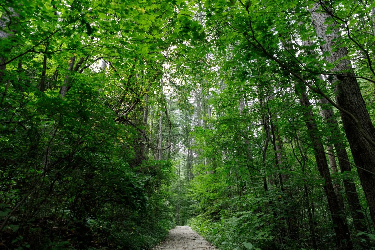 365세이프타운 - 태백 여행