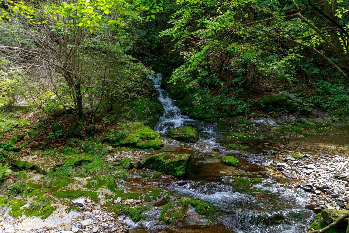 귀네미마을 - 태백 여행