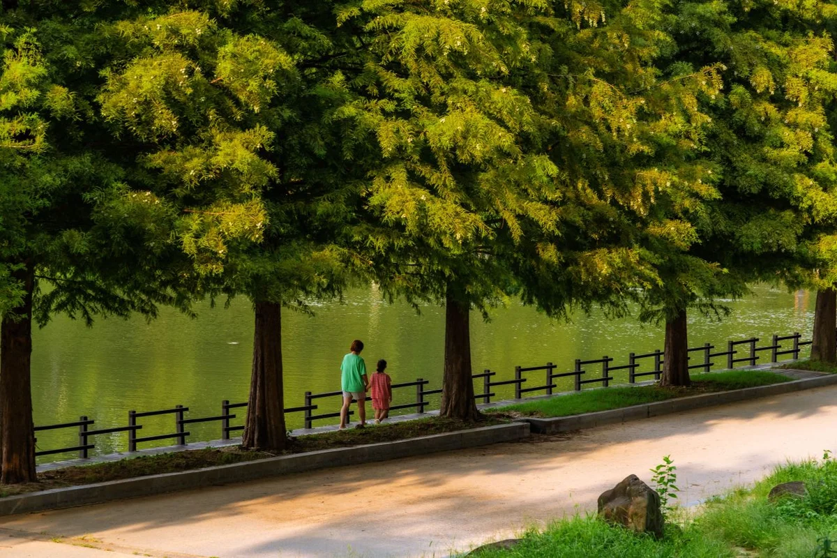 담양관방제림 - 담양 여행