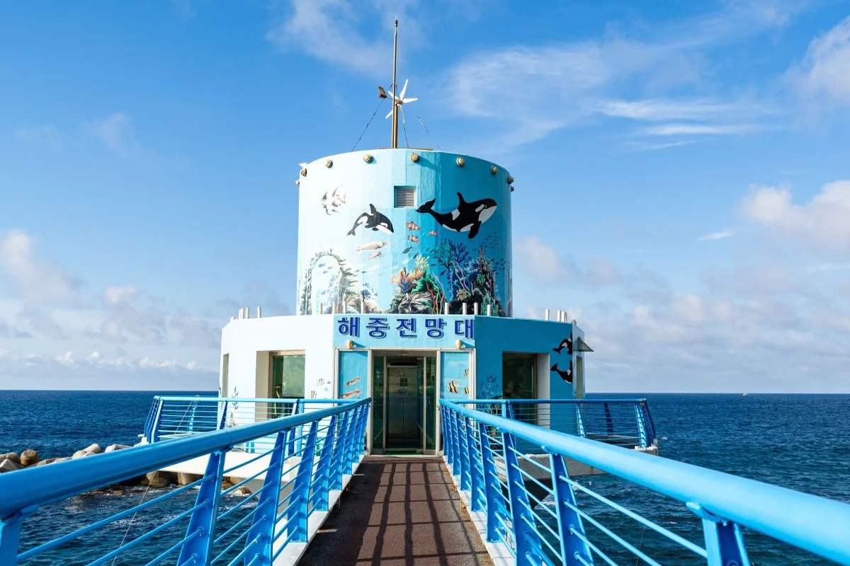 천부 해중전망대 - 울릉도여행 여행