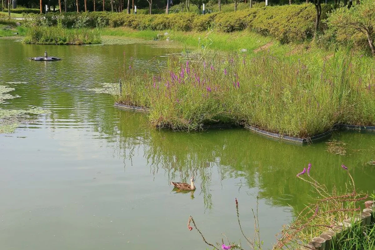 왕송호수공원 - 의왕시 여행