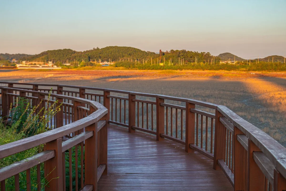 늘솔길공원 양떼목장 - 남동구여행 여행