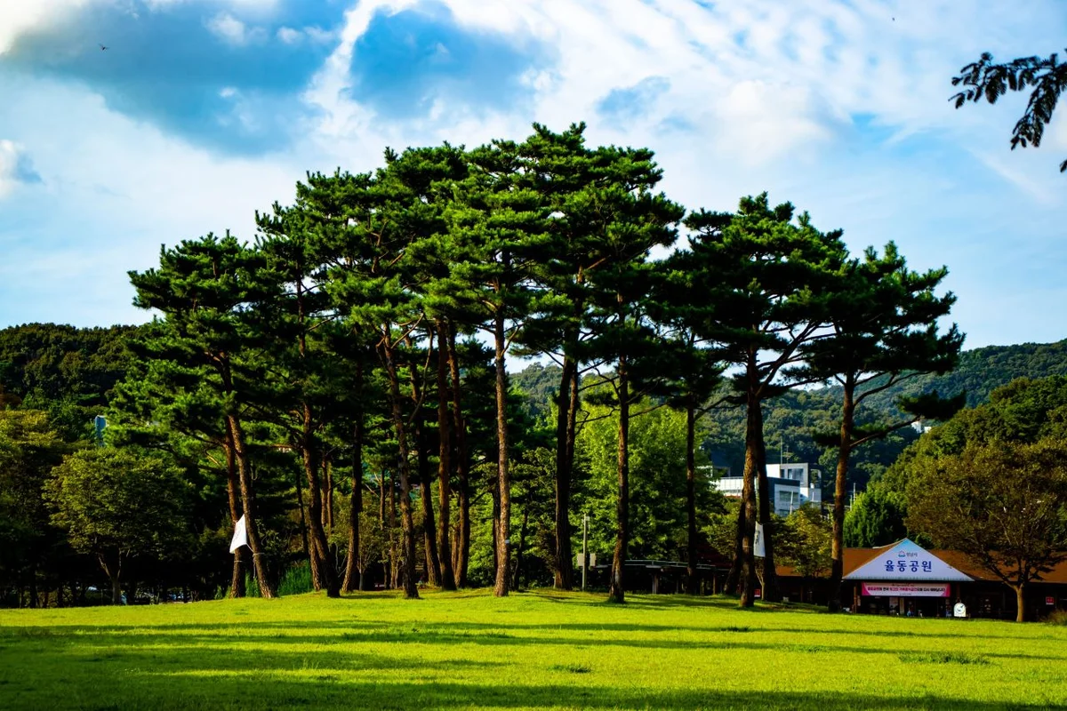 성남 데이트: 에디터스 픽 - 성남여행 여행