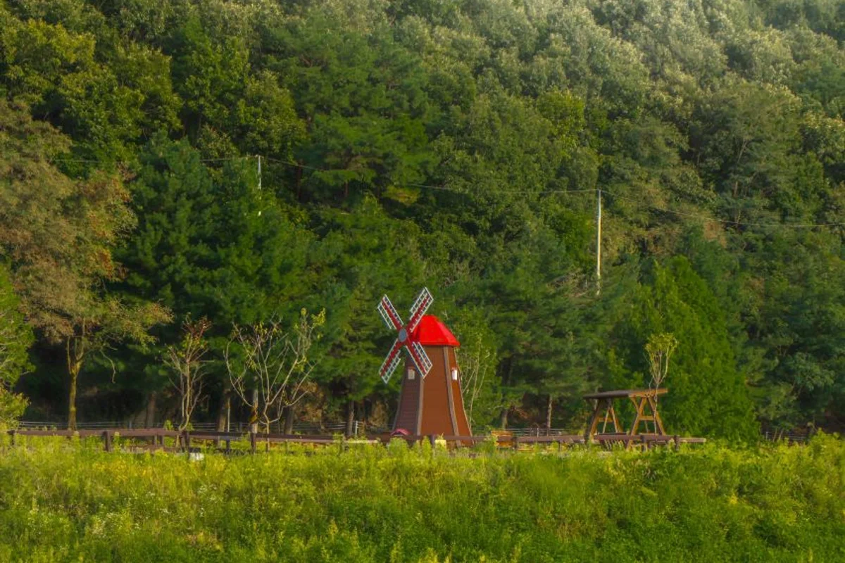 화랑공원 - 성남시 여행