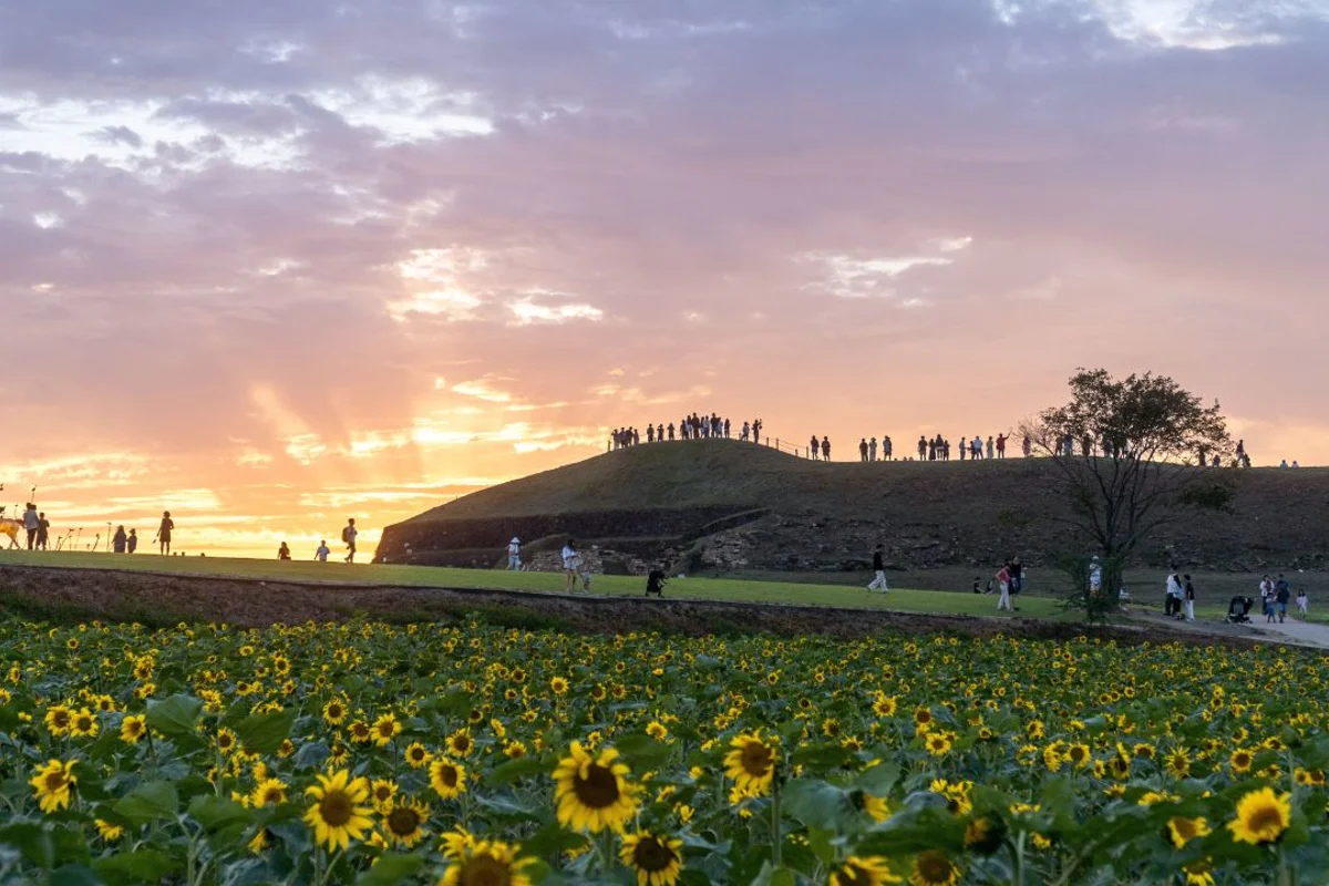 연천전곡리유적 - 연천여행 여행
