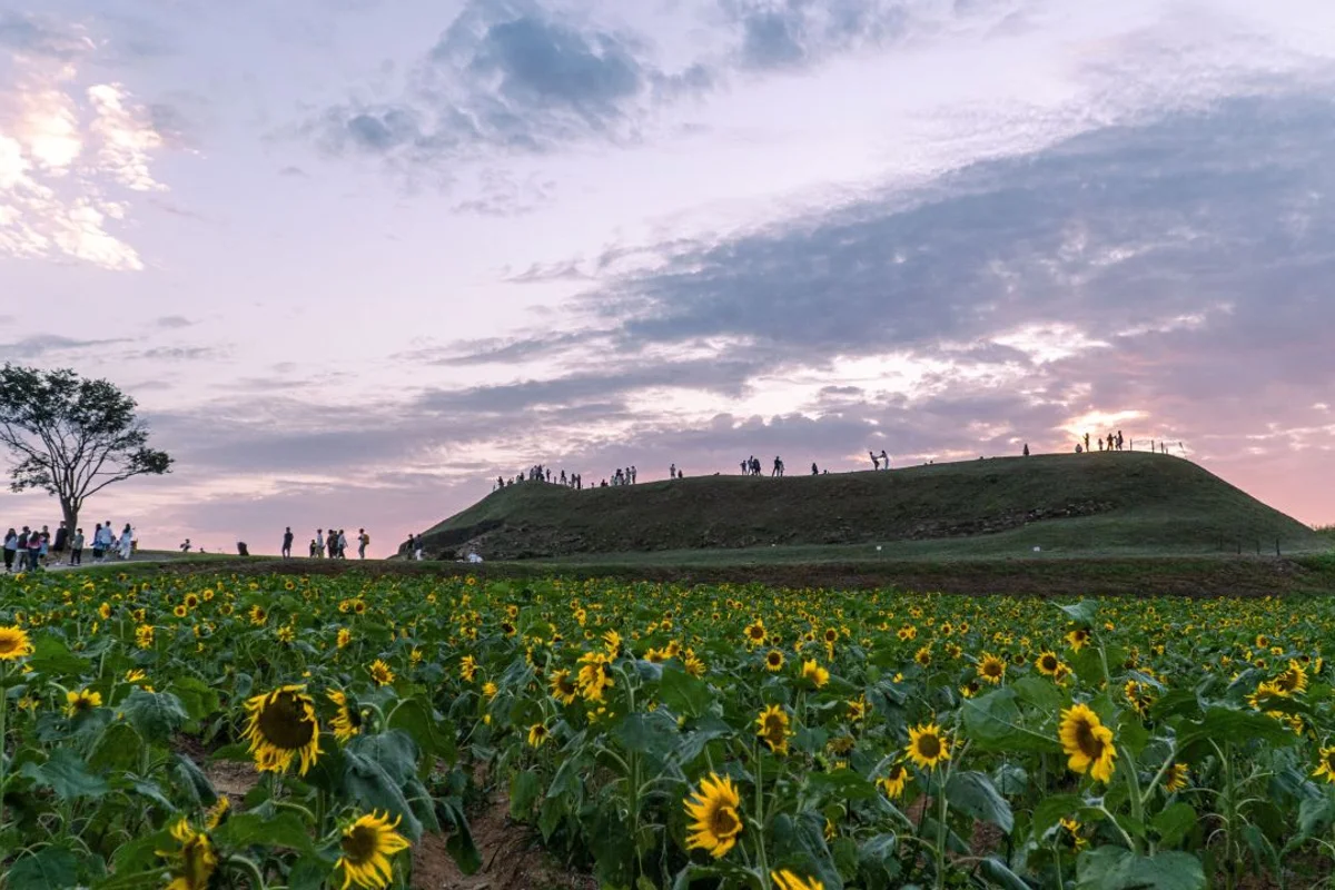 경기둘레길연천10코스 - 연천여행 여행