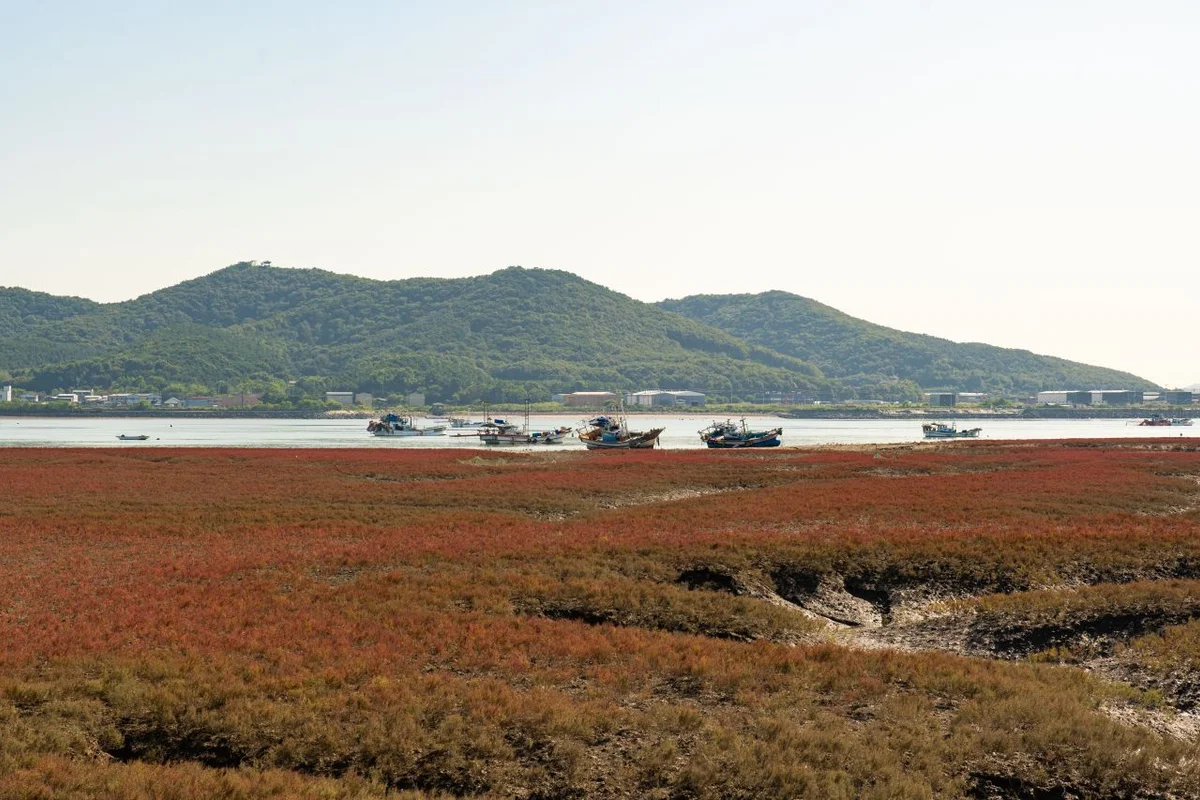 강화도 래프팅 (출처 : 한국관광공사)