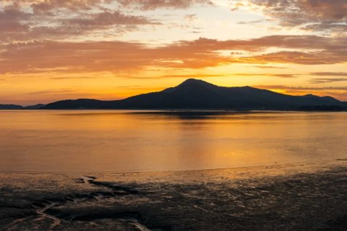 강화루지 - 강화도여행 여행