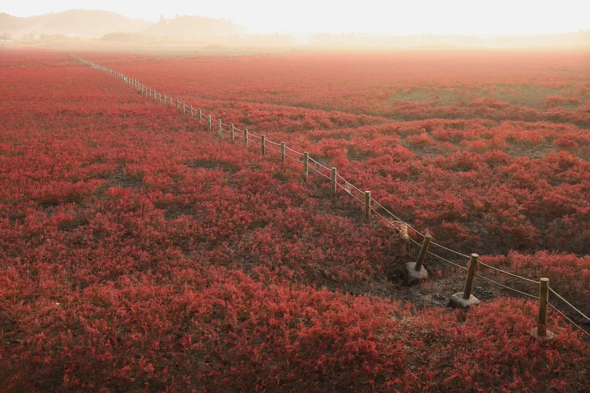 동구 등산 코스 (출처 : 한국관광공사)